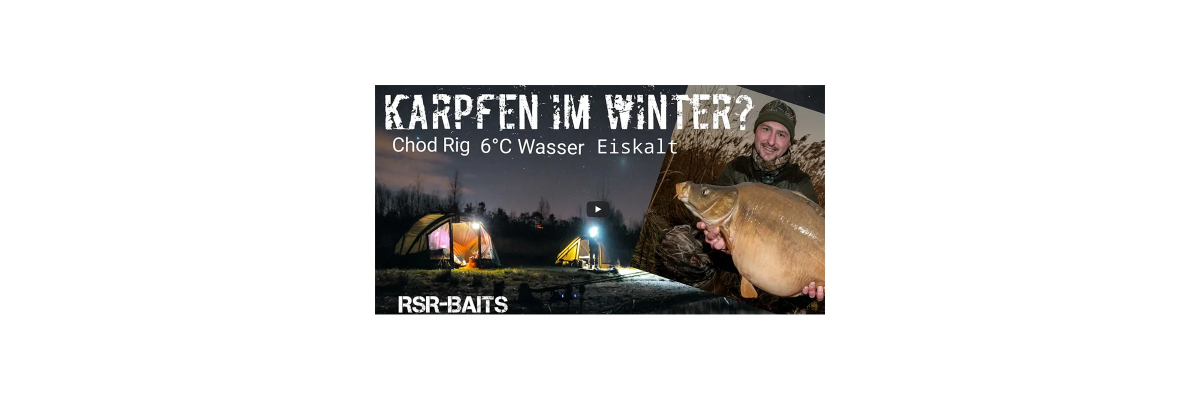 Karpfenangeln im Winter bei 6 °C Wasser: Köder, Futter &amp; Taktik - Karpfenangeln im Winter bei 6 °C Wasser | RSR-Baits