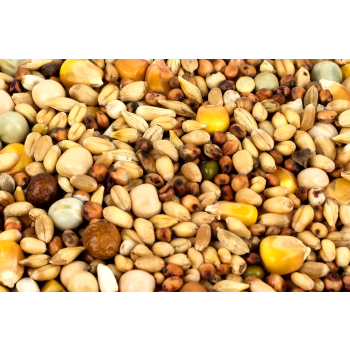 RSR-Baits Partikelmix 2 kg