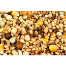 RSR-Baits Partikelmix 2 kg