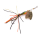 SPRO Larva Mayfly Micro Spinner 4g Insektenköder