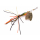Spro Larva UV Mayfly Spinner Gr.10/4gr Treble Perch
