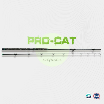 Zeck Fishing Pro-Cat Skyrock 3,30m 500g