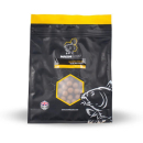 Nash Bait - Scopex Squid Boilies 1Kg