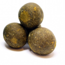 GLM Muschel Hard Hookbaits in 20 mm 24 mm und 30 mm...