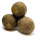 GLM Muschel Hard Hookbaits in 20 mm 24 mm und 30 mm für lange Liegezeiten