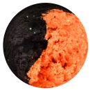 Trout Master Pro Paste Knoblauch - Orange Black