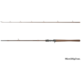 Delphin QUEST BCAST Baitcastrute