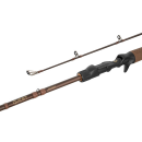 Delphin Quest Baitcast 195cm - 125g Wurfgewicht