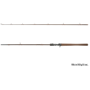 Delphin QUEST BCAST Baitcastrute