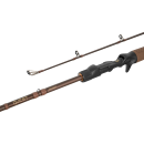 Delphin QUEST BCAST für Jerkbaits und Gummiköder
