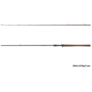 Delphin QUEST BCAST 195cm - 125g Wurfgewicht