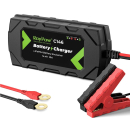 RoyPow C146 LiFePO4 Batterieladegerät 14.4V - 10A