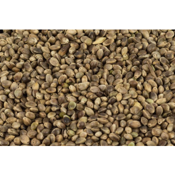 Hanf 1Kg