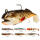 Daiwa D-WOLF 24CM 480G