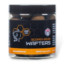 Nash Scopex Squid Wafters