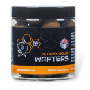 Nash Scopex Squid - Wafters 15mm