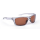 Shimano Antaris Sonnenbrille - Transparent Grey & Copper