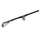 Delphin DANGER CatFISH – Welsrute