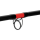 Delphin DANGER CatFISH – Welsrute