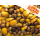 Sugar Bomb Mix - Tigernüsse, Mais, Weizen vorgekocht 1000g