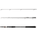 Daiwa Exceler Spin 3.00m 15-50g