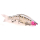 Gamakatsu LUXXE Laughin 300 Blush Tiger Big Bait 32cm