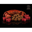 Delphin MonstaFISH Karpfenboilies Monsterkrabbe Thunfisch