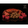 Delphin MonstaFISH Karpfenboilies Monsterkrabbe Thunfisch