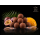 Delphin PassionKRILL Boilies 20mm für Karpfenangeln
