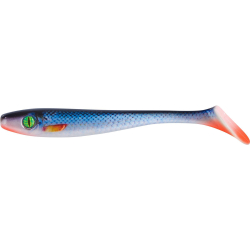 Whitefish