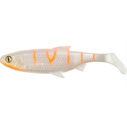 Striped Albino