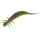 Purple Chartreuse